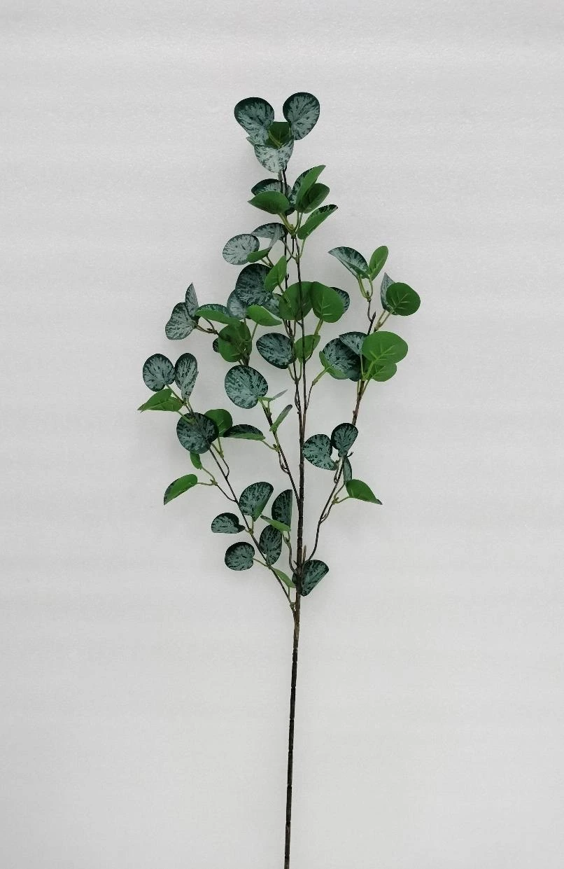 Satin Photos Money Plant Stick Big